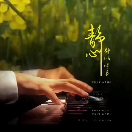 静心看世界