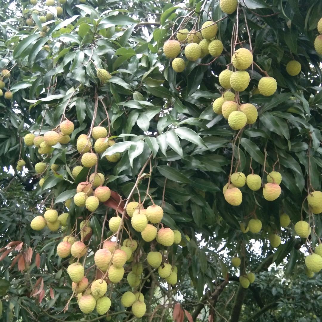 遇到你真幸福8783192389039