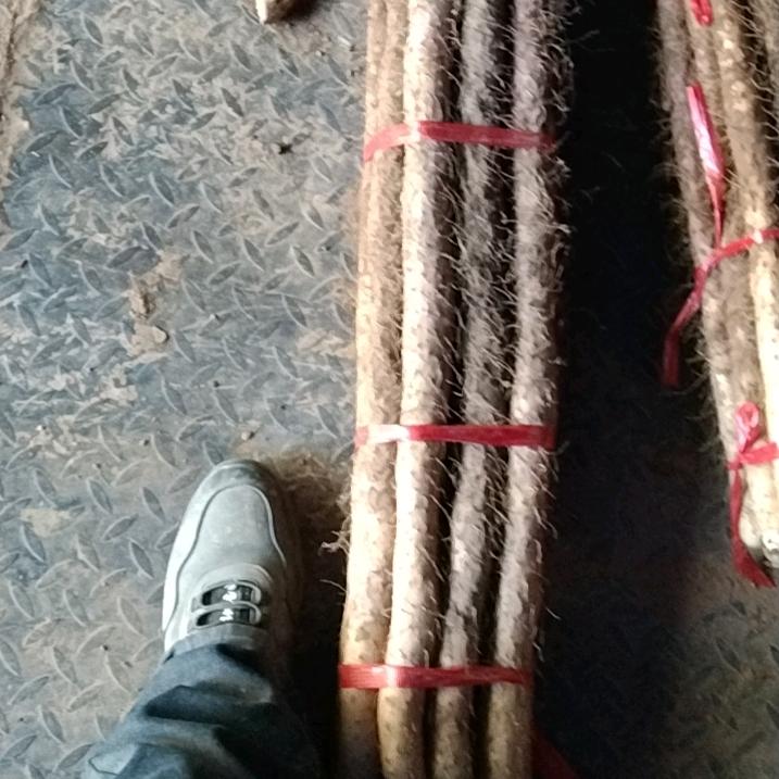 有所思