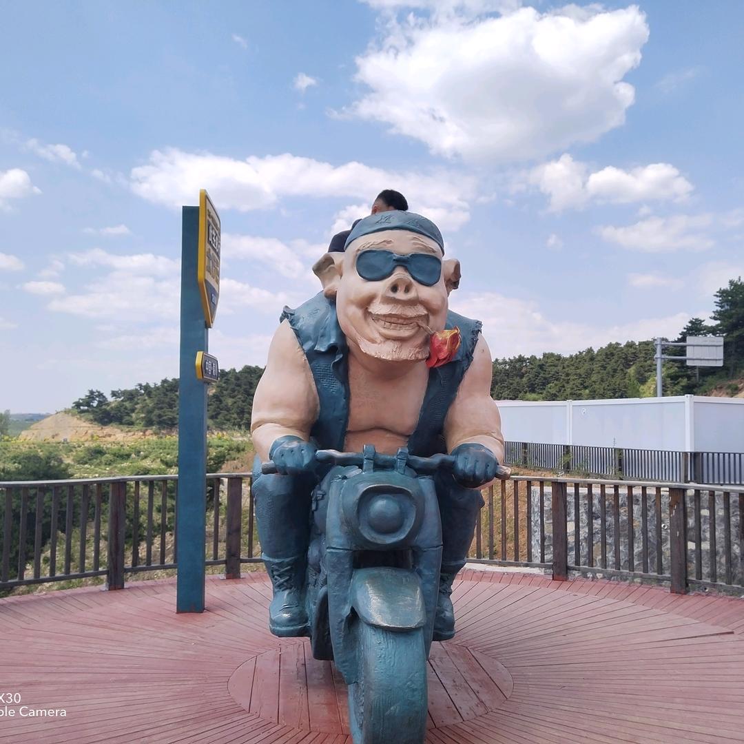 龙～行♥天～下