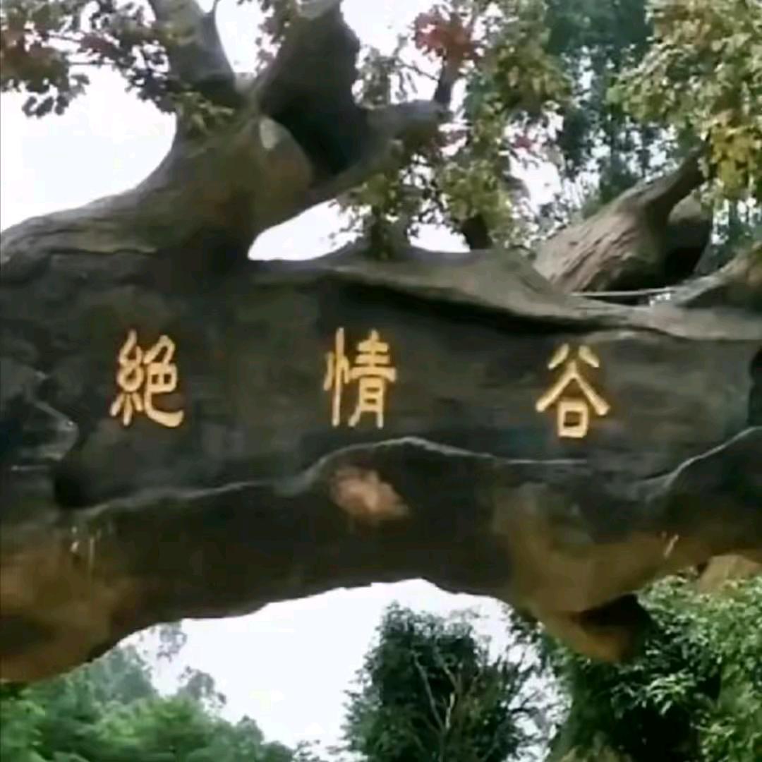 努力创造明天的辉煌