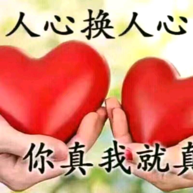彬哥