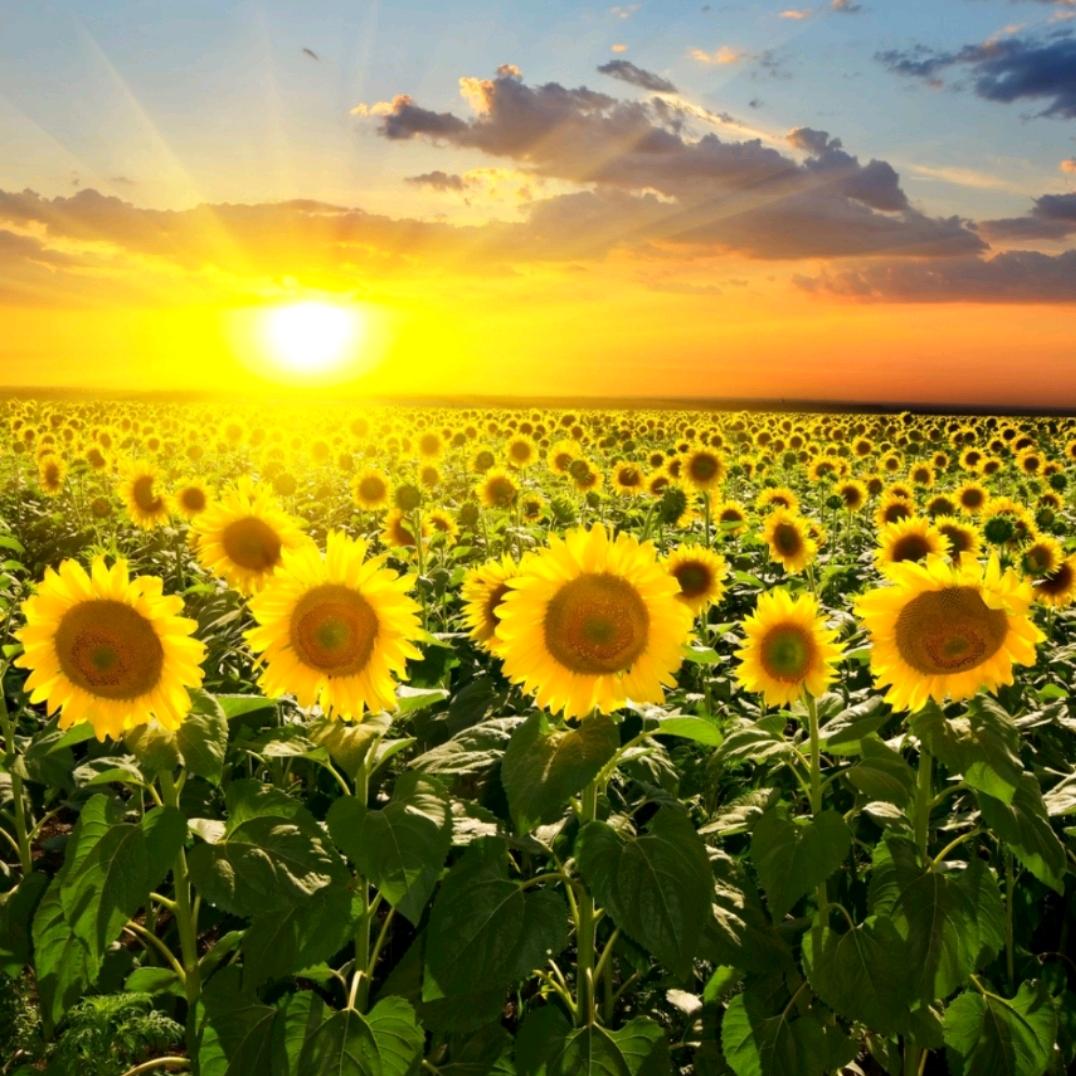 段建涛，以后叫我涛哥：㜂孞！