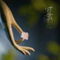 秋子