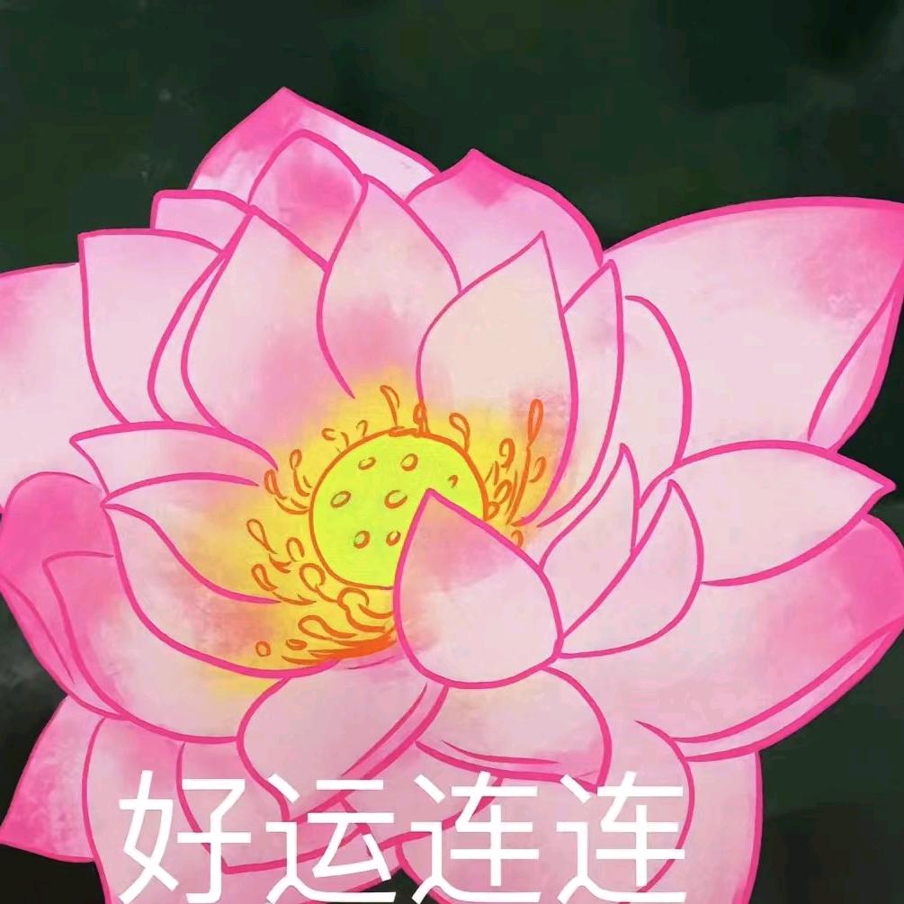 雪中玫瑰🌹