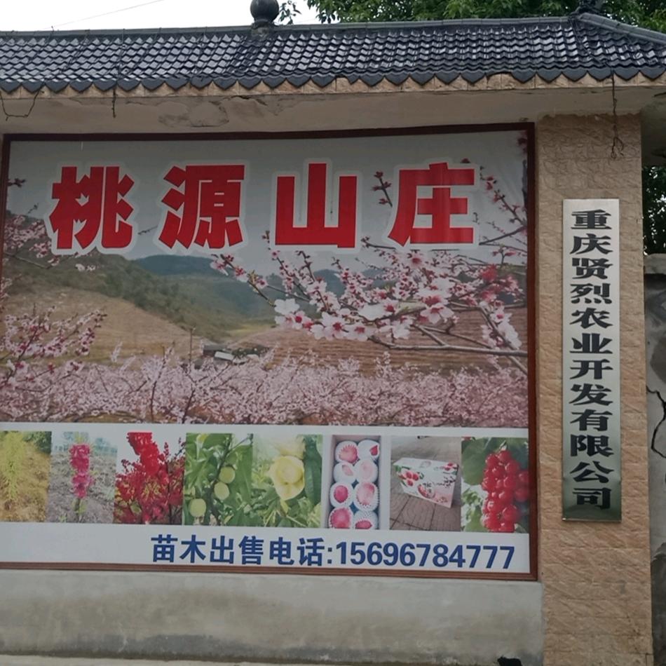 飞利浦照明(收竹木，废柴)
