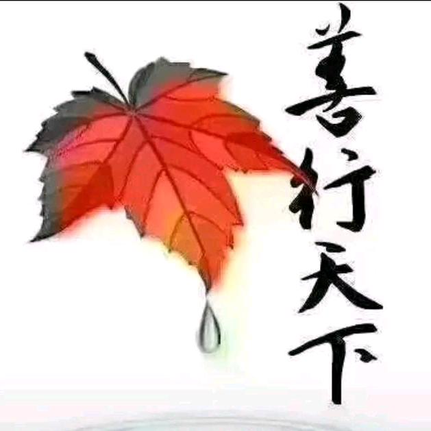 风雨同行