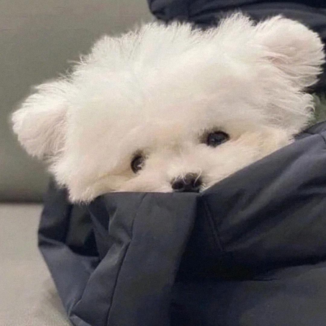 凡凡不是满满