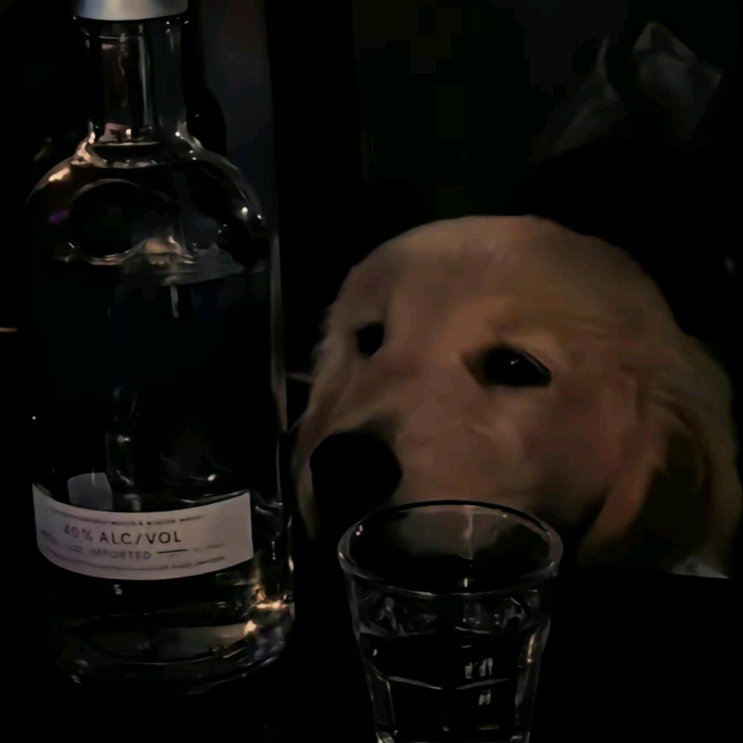 。。。。。。。