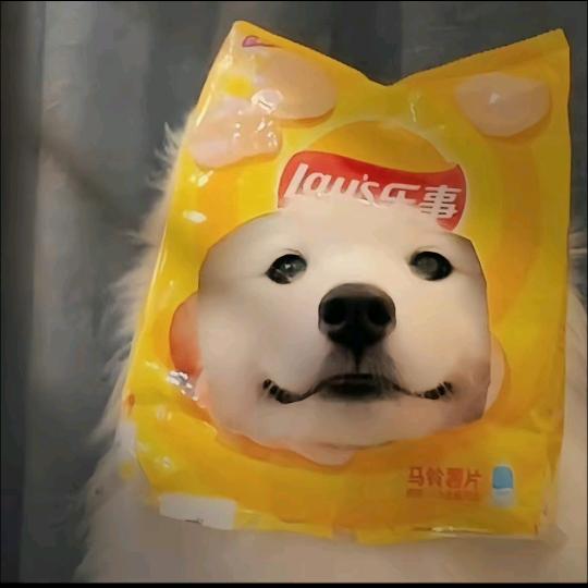 zghh