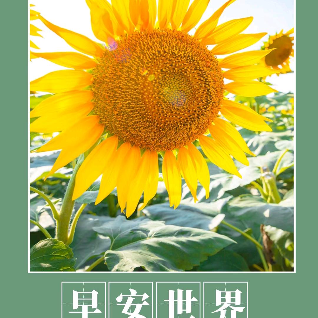曹姐