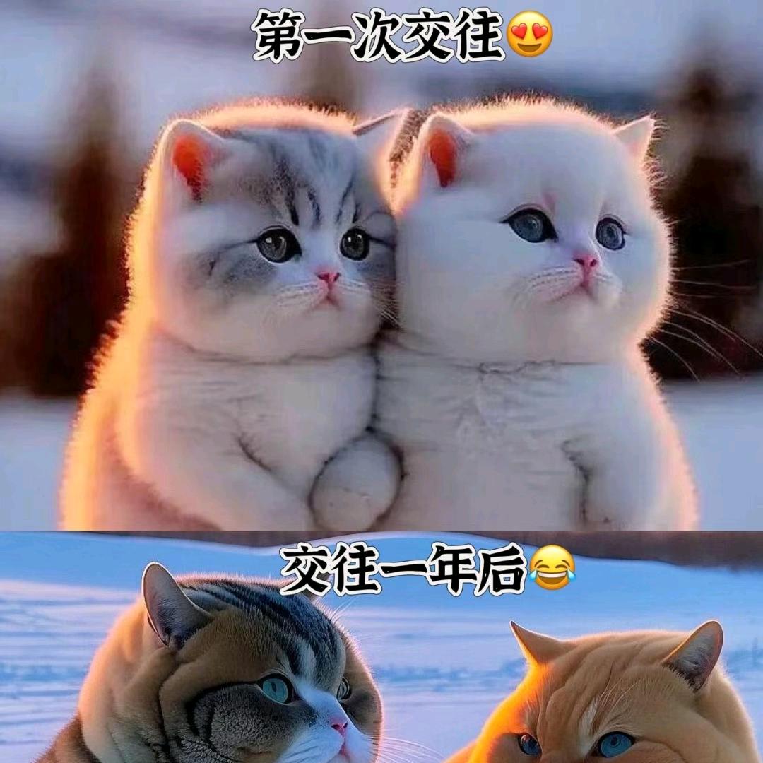 上海实业钢板