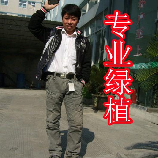 简简单单花卉绿植