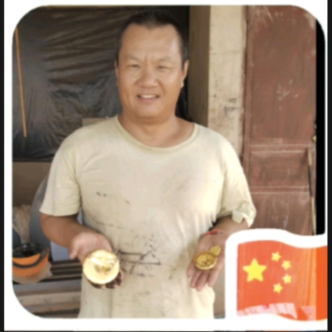 撒哈拉骆驼（非洲漂）