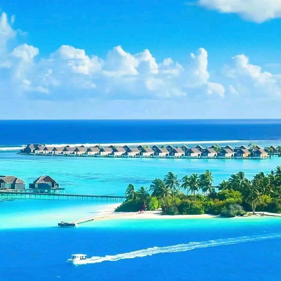 一生何求🌴