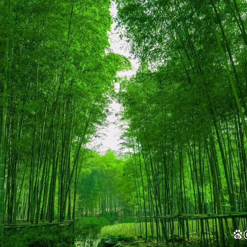 携手一生