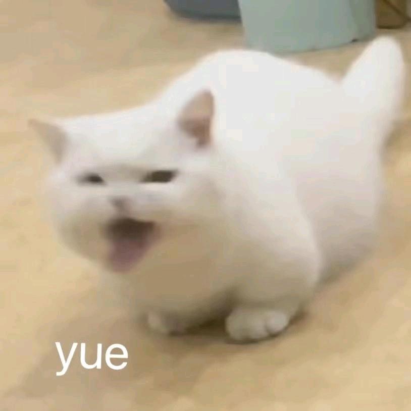 卡卡的