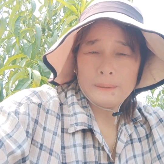文文奶奶