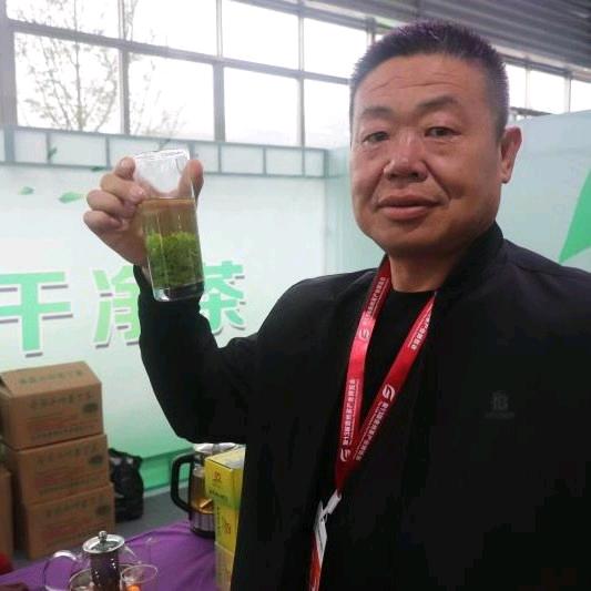 聊城灵芝茶老张