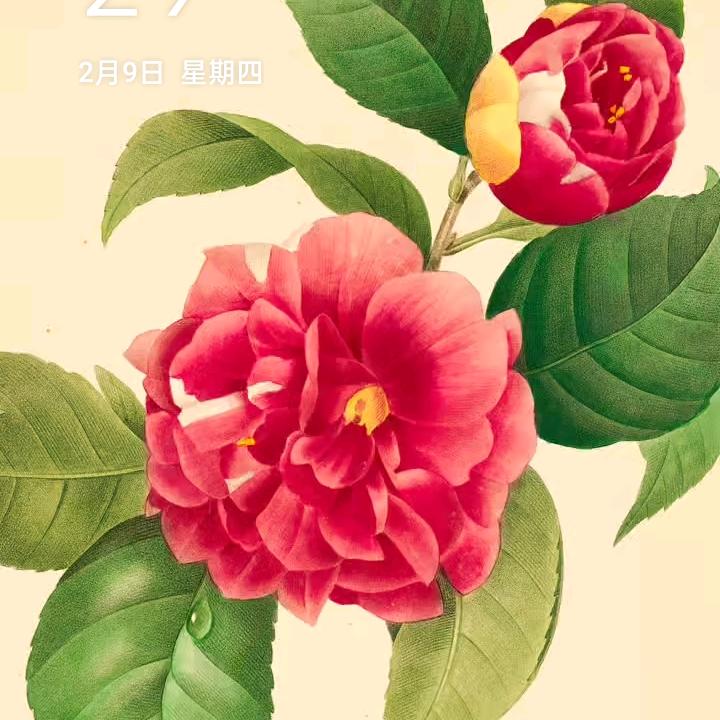 加娜尔古丽·塔勒普江