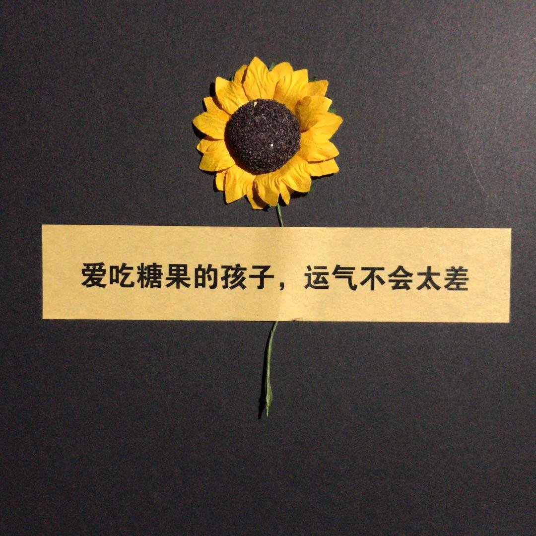 四面观察