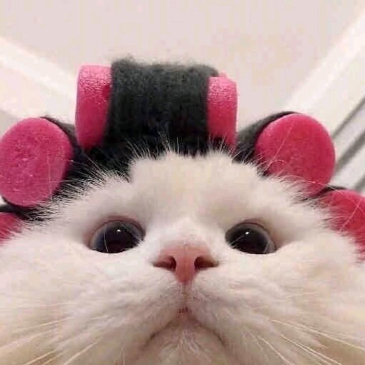 小耳朵o