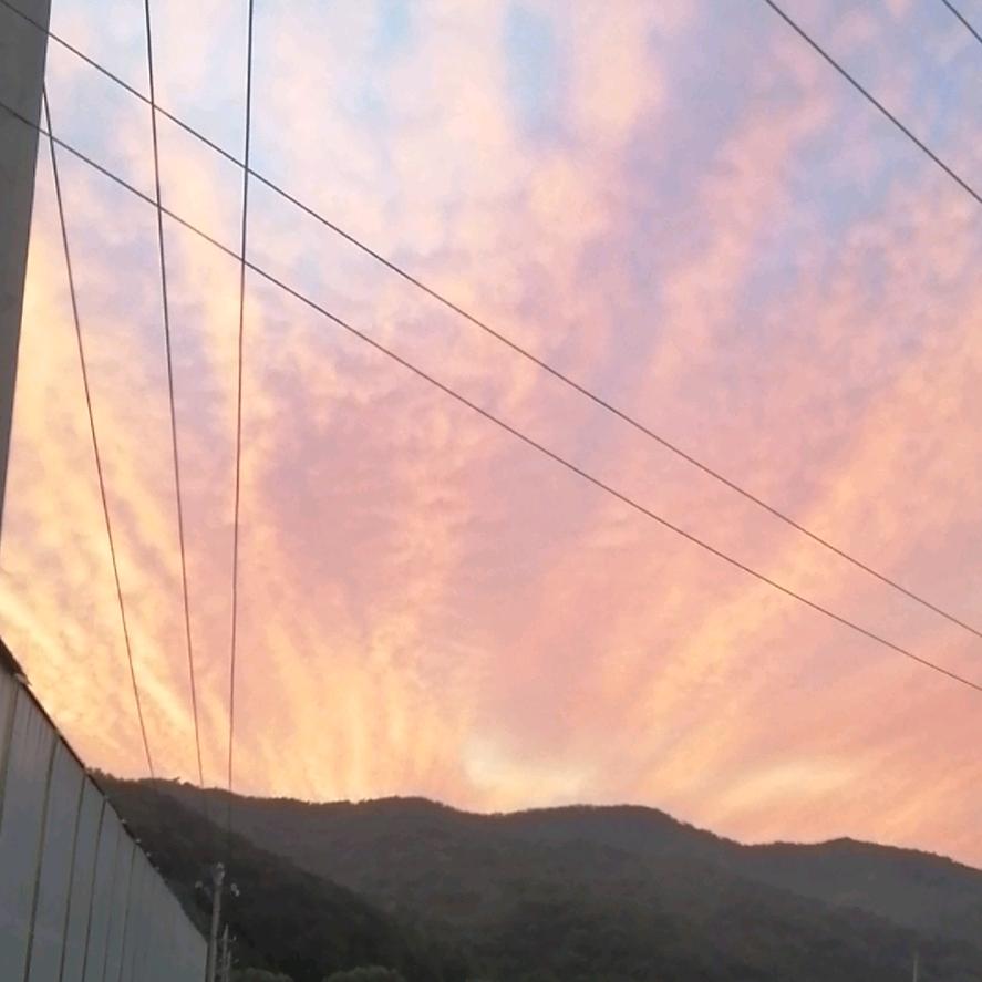 初心玩古《烙印艺术》