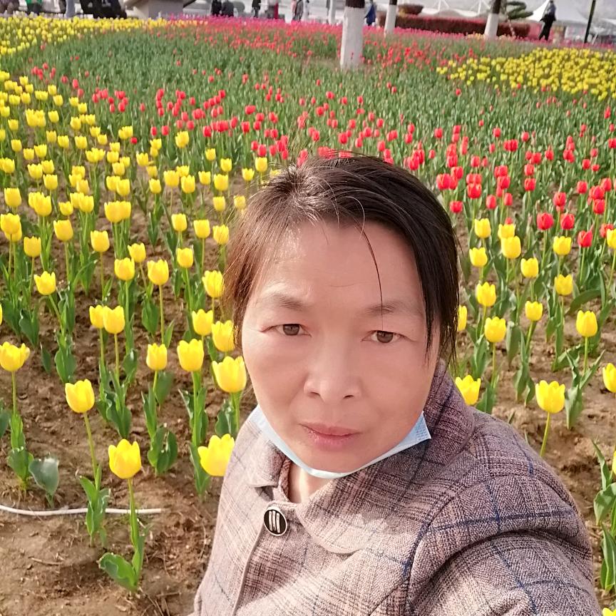 梅花姐