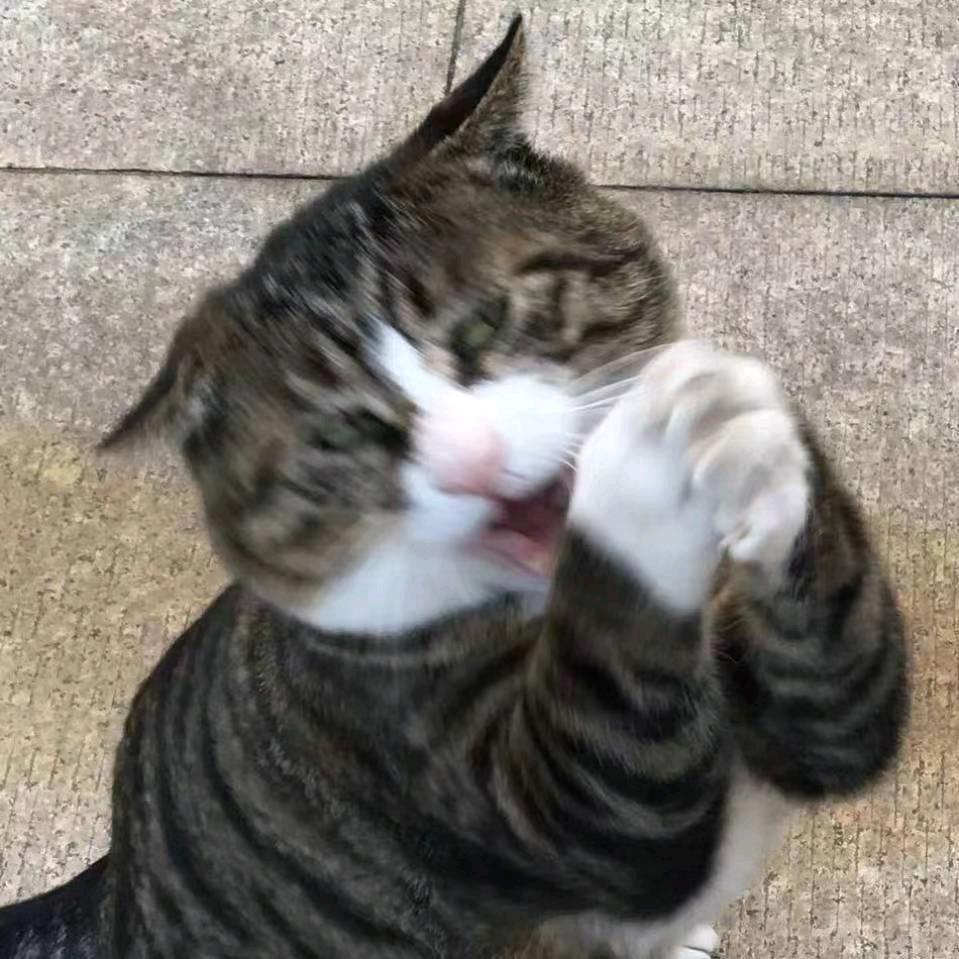 小阿偉