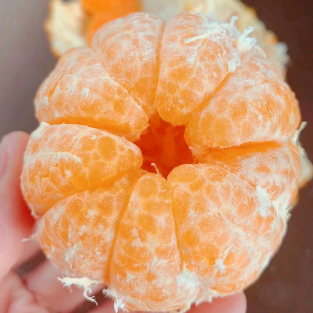 清浅k
