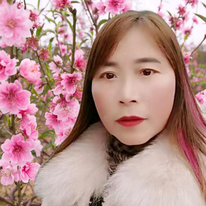 小熊熊💐