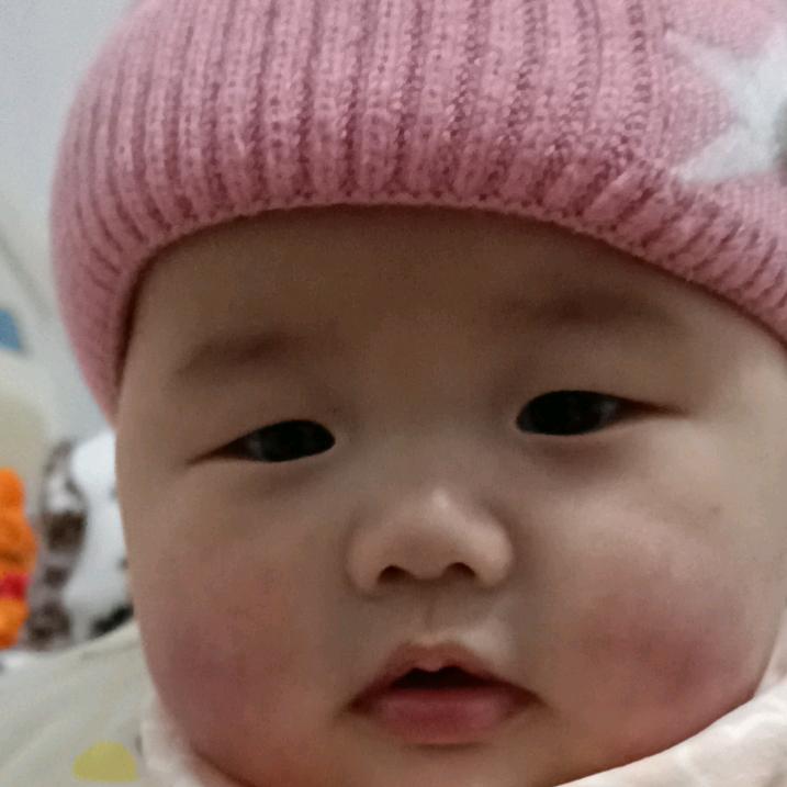 丹星