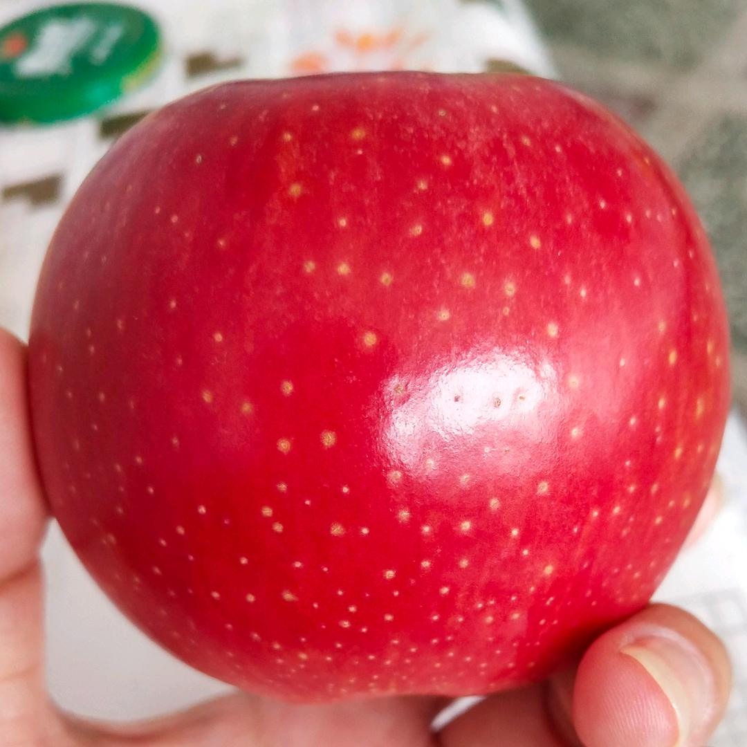 铁板炒饭炒河粉炒米粉