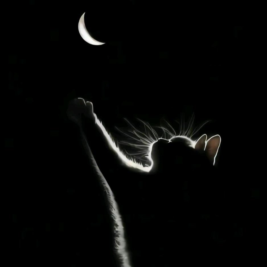 ༄༊࿆ ̶ོ♥̶̶ོོྂ͜ཾ࿆࿐