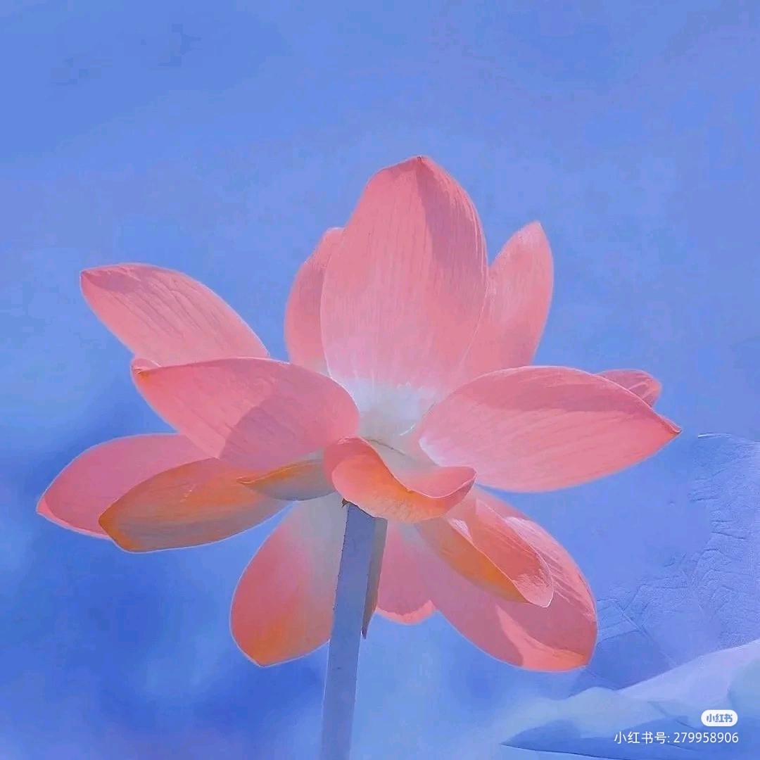 英