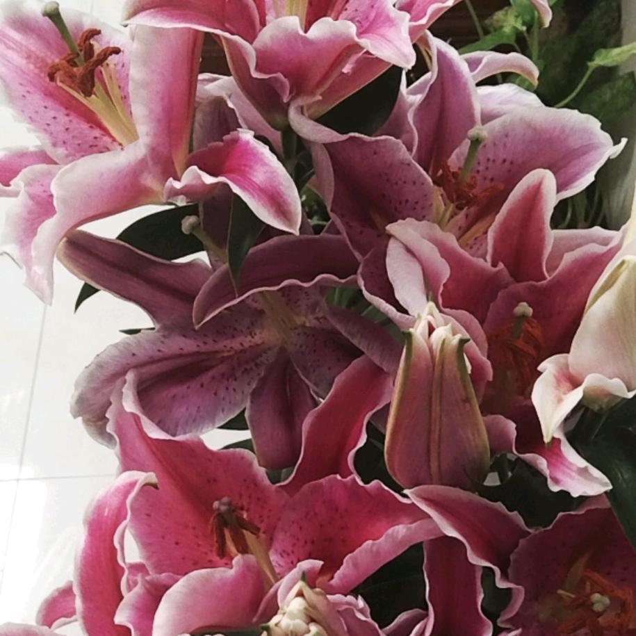 酸酸甜甜就是我