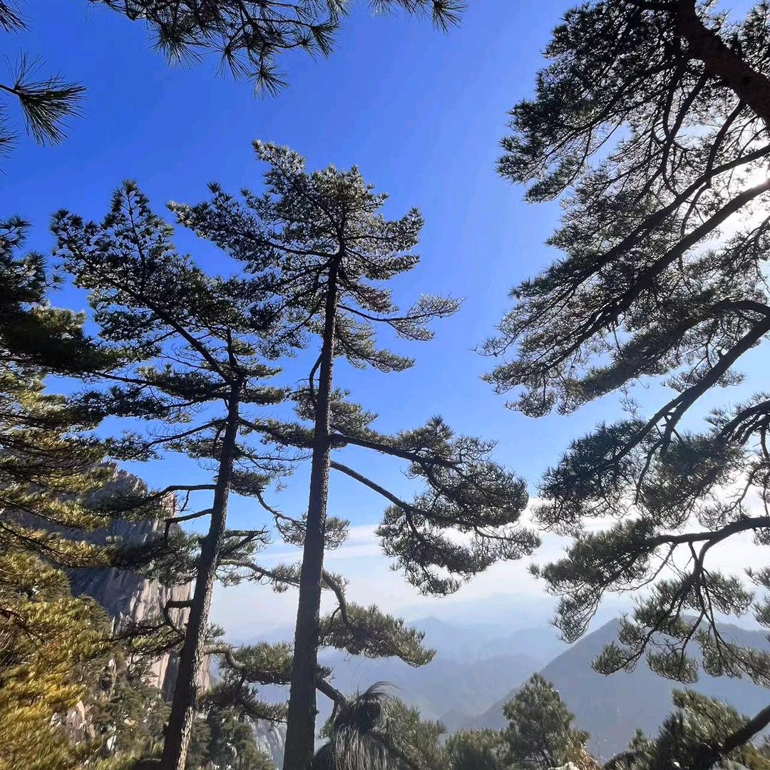 山——海