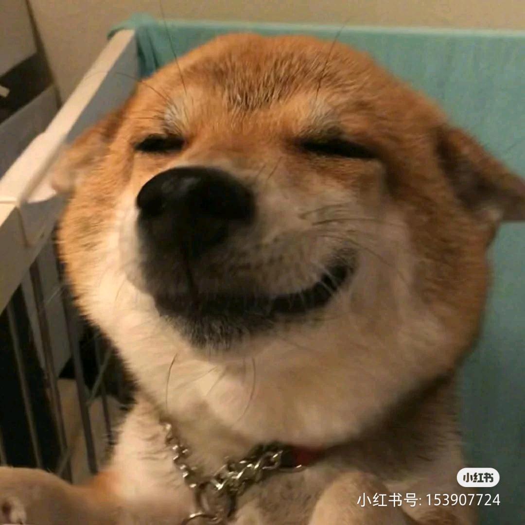 。。。。             广告×