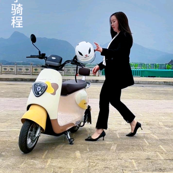雅迪电动车（松桃旗舰店）