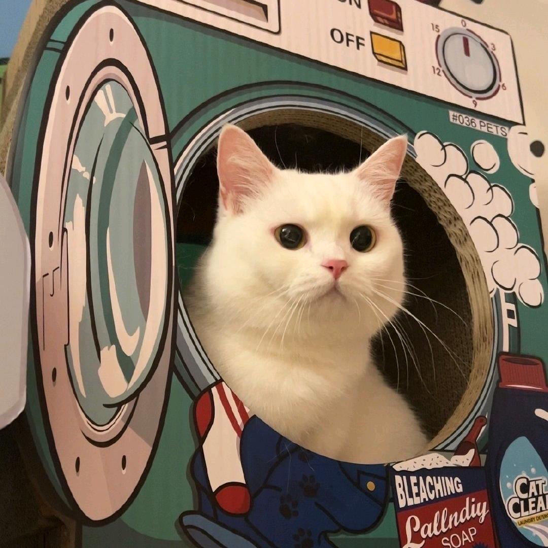 想想
