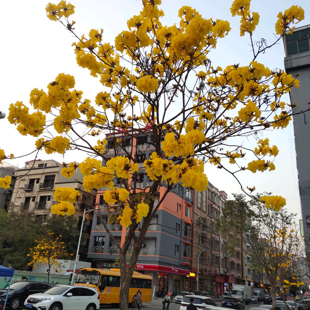 ♥(｡￫v￩｡)♥曾