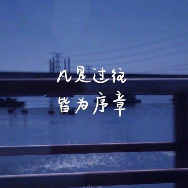 憨憨🐻