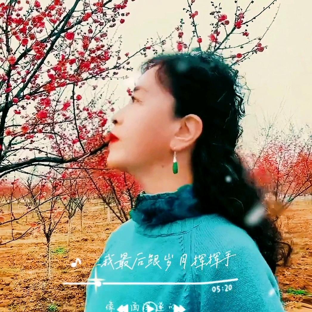 梅花雪