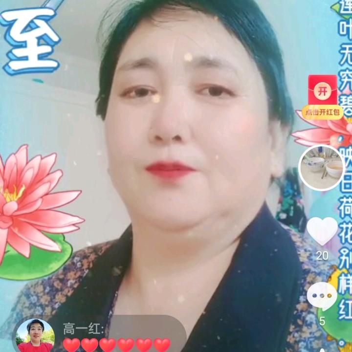 兔兔