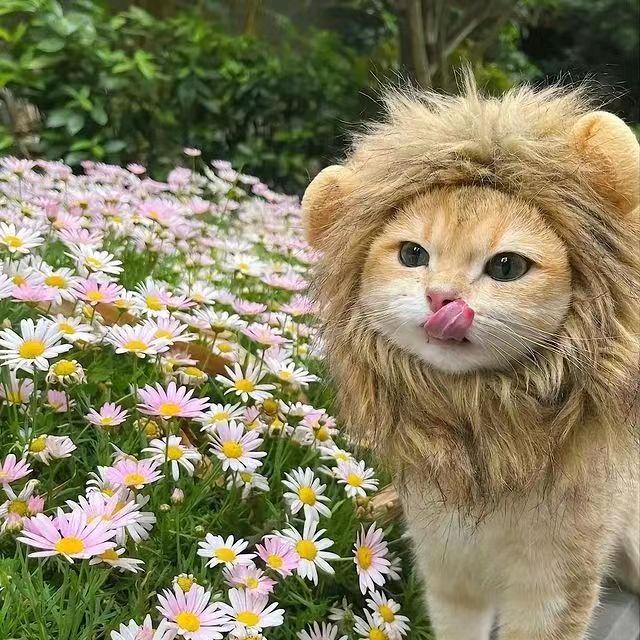 Cute✨