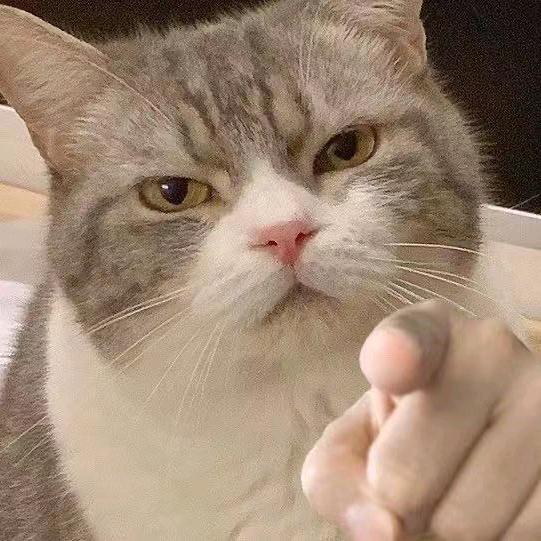 面面