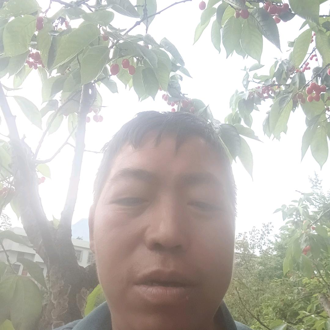 杨维明