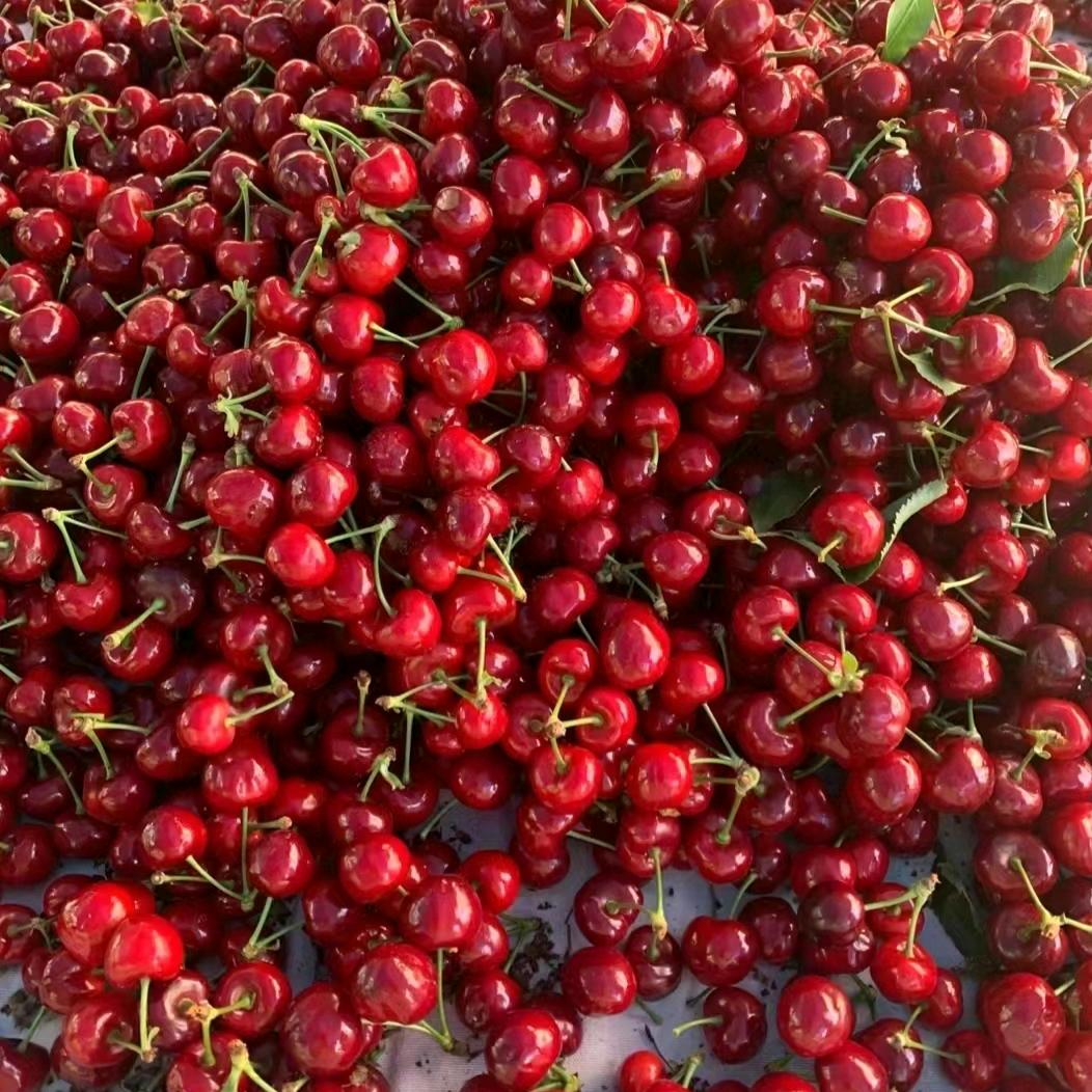 小林专业腻子打磨喷漆