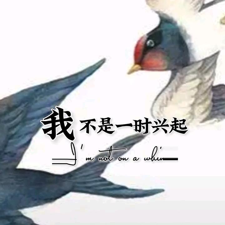 🐽⁰⁶.₁₈明日阳光℘࿐