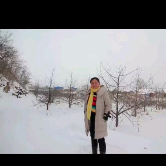 今生无悔